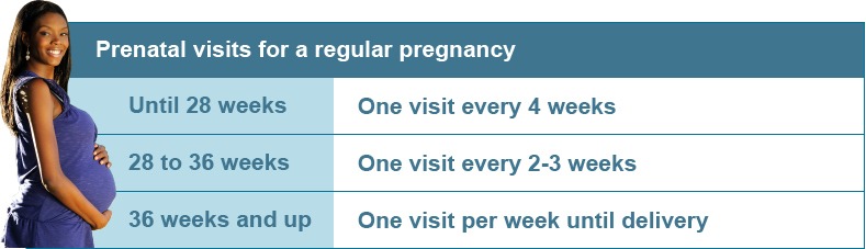 pregnant-members-medicaid_pregnancy-visit-table